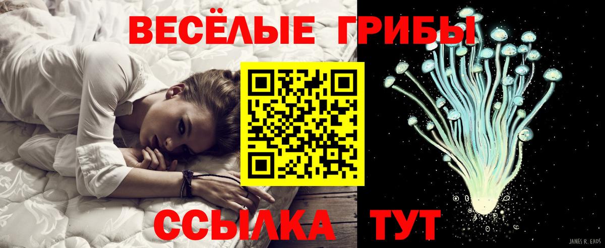 Галлюциногенные грибы Psilocybine cubensis Великие Луки